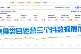 真金不怕火炼，年后跟我学习电商或运营合作，这个视频要看完！视频封面