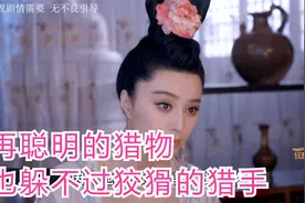 第11集|再聪明的猎物也躲不过狡猾的猎手。视频封面