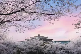 2025年国家公务员考试中只招硕士研究生的岗位列表