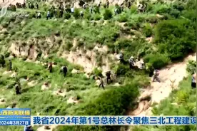 我省2024年第1号总林长令聚焦三北工程建设视频封面