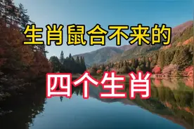 生肖鼠合不来的四个生肖，生来对头，注定不合，分歧不断视频封面