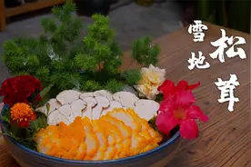 云南村子里最奢侈的一餐——松茸全宴！视频封面