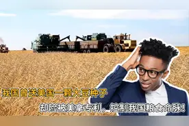 我国曾送美国一颗大豆种子，却险被美拿专利，控制我国粮食命脉视频封面