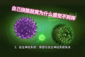 为什么自己挠胳肢窝不会痒？