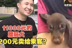 11000元的腊肠犬坐顺风车，被司机200元卖给乘客？