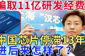 他骗取11亿研发经费，让中国芯片停滞13年，陈进后来怎样了视频封面