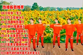 新歌推荐 十首好听DJ新歌《痴心换不到情长》无法重来的人生