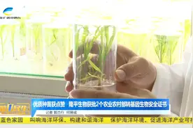 三亚隆平生物获批2个农业农村部转基因生物安全证书视频封面
