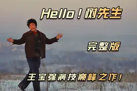 王宝强演技巅峰之作，底层人民的悲苦缩影！视频封面