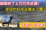 中国囤积了上万万件武器！退役的科技武器去了哪？该怎么处理呢？