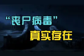 现实中真的存在,丧尸病毒,，历史上曾经爆发过视频封面
