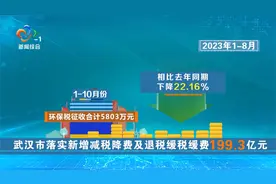 武汉税务：长江经济带的绿税守护者视频封面