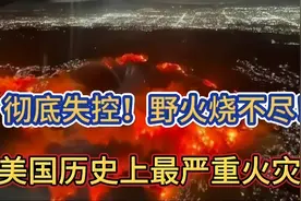 野火烧不尽    彻底失控！历史上最严重火灾2865视频封面