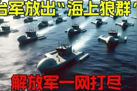 台放出“海上狼群”，解放军一网打尽视频封面