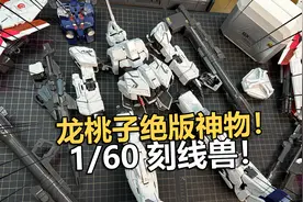 绝版了！沉浸拼装龙桃子PG刻线独角兽！【电动爷们】视频封面
