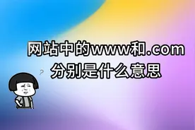网站中的www和.COM代表什么意思？视频封面