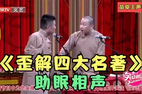 助眠相声：《歪解四大名著》苗阜 王声视频封面