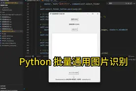 Python 批量通用图片识别视频封面
