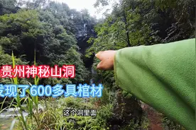 太吓人了，探秘贵州深山神秘山洞，小伙在里面发现了600多具棺材视频封面