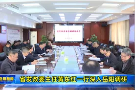 省发改委主任黄东红一行深入岳阳调研视频封面