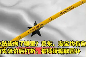 国家补贴流向了哪里？京东、淘宝均有自营店先涨价后打折视频封面