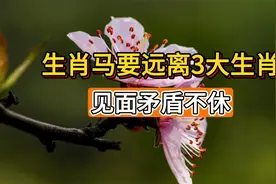生肖马要远离3大生肖，命运纠缠，见面矛盾不休视频封面