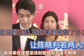 从宠溺到无情，陈妍希到底做了什么，让陈晓判若两人？视频封面