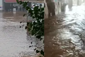 中图网称因汛遭毁灭性打击:预估损毁3亿码洋图书 含绝版稀缺书籍视频封面