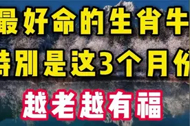 最好命的生肖牛，特别这3个月份出生的，越老越有福，看看有你吗视频封面