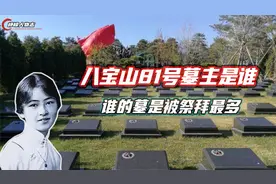 八宝山神秘的81号墓墓主是谁？谁的墓被祭拜得最多？视频封面