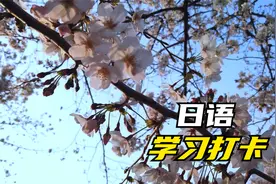 日语学习打卡2025-04-01视频封面