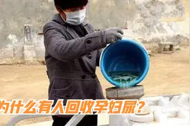为什么有人回收孕妇尿？孕妇尿有什么用？