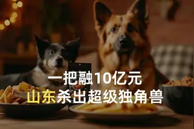 一把融10亿元，山东杀出超级独角兽视频封面