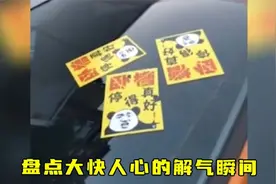 盘点大快人心的解气瞬间，总有些人自以为是，结局真让人解气视频封面