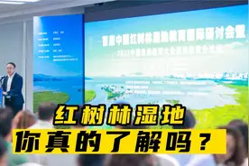 你真的了解红树林湿地吗视频封面