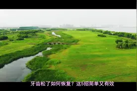 牙齿松了如何恢复？这5招简单又有效！专家：早知早受益视频封面