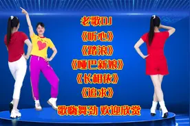 老歌DJ《踏浪》《追求》《听心》《长相依》《哑巴新娘》