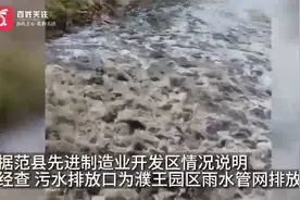 官方回应河南濮阳污水排入金堤河：系雨水和沉淀物已封堵排放口视频封面
