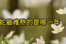 属蛇最难熬的是哪一年？视频封面