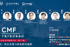 杨瑞龙 李迅雷等联合解析：资产负债表！冲击表现与修复路径选择视频封面