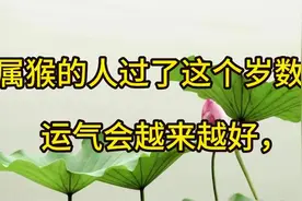 属猴的人过了这个岁数，运气会越来越好视频封面