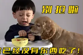 小狗故意跟孩子抢食物，气得宝宝嚎啕大哭，没想去医院后傻眼了视频封面