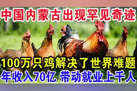 中国内蒙沙漠养鸡造奇迹，年入70亿千人就业 网友评论：人定胜天视频封面