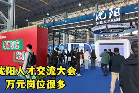沈阳东北亚人才交流大会，月薪万元岗位很多，就业形势稳中向好视频封面