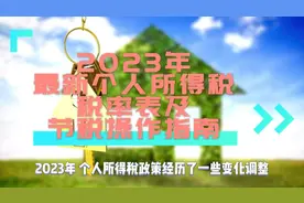 2023年最新个人所得税税率表及节税操作指南视频封面