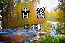 唐诗鉴赏系列，王维《青溪》，一动一静皆诗意视频封面