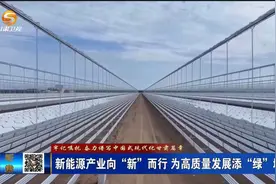 新能源产业向“新”而行 为高质量发展添“绿”增效视频封面