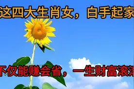 这四大生肖女，白手起家，不仅能赚会省，一生财富滚滚视频封面