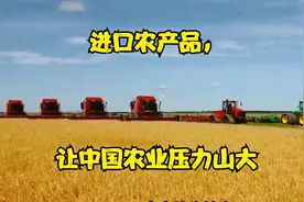 进口农产品，让中国农业压力山大视频封面