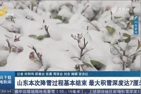 山东本次降雪过程基本结束，最大积雪深度7厘米，出现在菏泽曹县视频封面